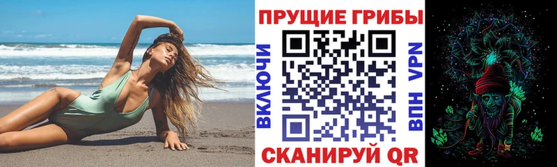 где продают наркотики Пущино Псилоцибиновые грибы Magic Shrooms